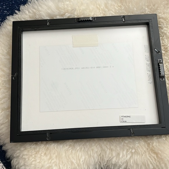 Lidgard Sable Island wild horse photo - Picture 6 of 6